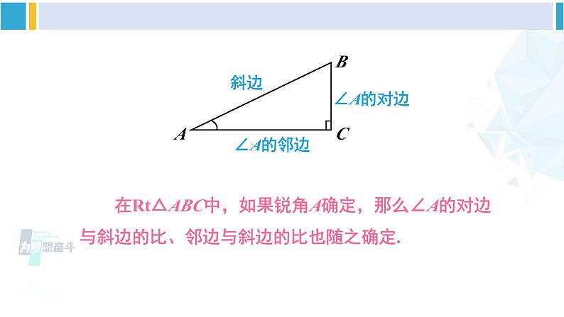 北师大版九年级数学下册 第一章 直角三角形的边角关系 第二课时 正弦、余弦（课件）第7页