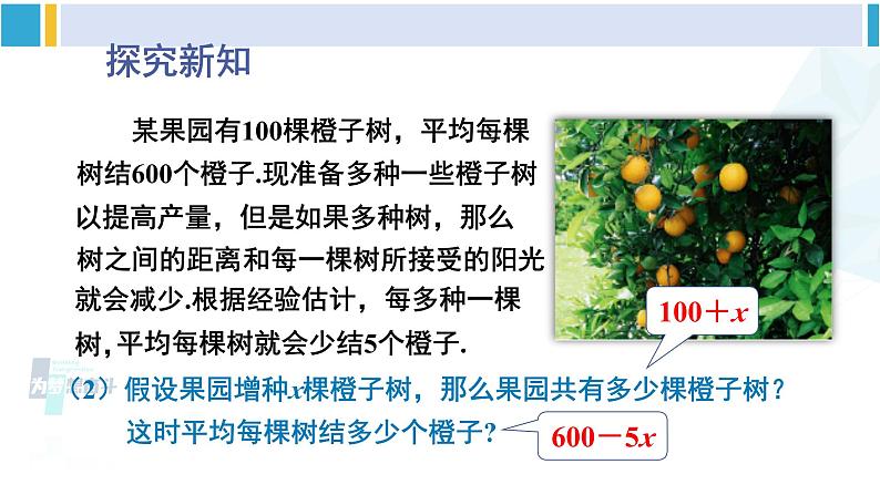 北师大版九年级数学下册 第二章 二次函数1 二次函数（课件）06