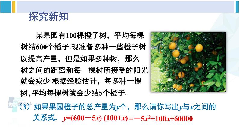 北师大版九年级数学下册 第二章 二次函数1 二次函数（课件）07