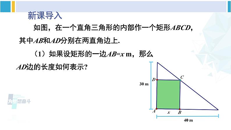 北师大版九年级数学下册 第二章 二次函数第一课时 最大面积问题（课件）02