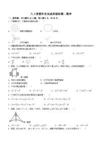 广东省惠州重点中学2023-2024学年八年级下学期开学考试数学试题(无答案)