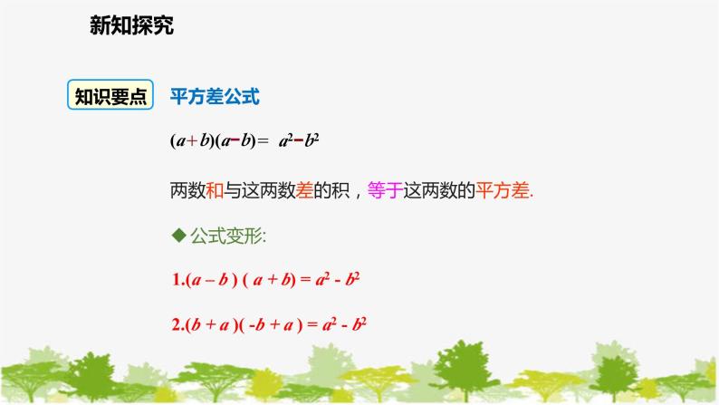 北师大版数学七年级下册 1.5.1 平方差公式的认识 课件07