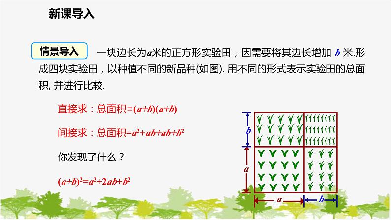 北师大版数学七年级下册 1.6.1 完全平方公式的认识 课件第3页