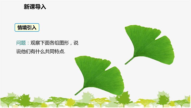 北师大版数学七年级下册 4.2 图形的全等 课件03