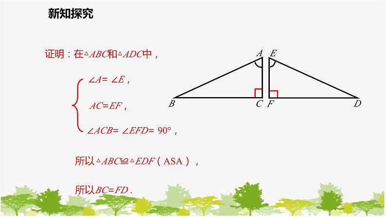 北师大版数学七年级下册 4.5 利用三角形全等测距离 课件第6页