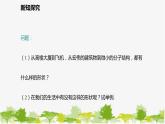 北师大版数学七年级下册 4.1.1  三角形的概念及内角和定理 课件