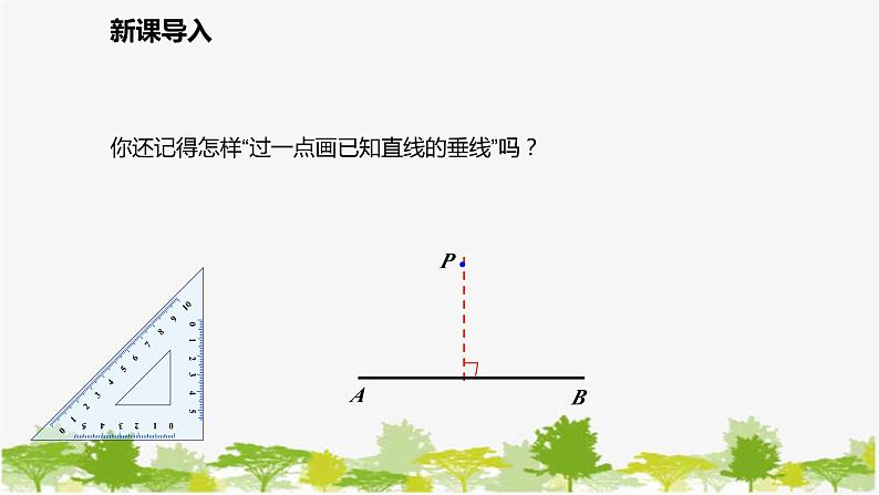 北师大版数学七年级下册 4.1.4  三角形的高 课件第3页