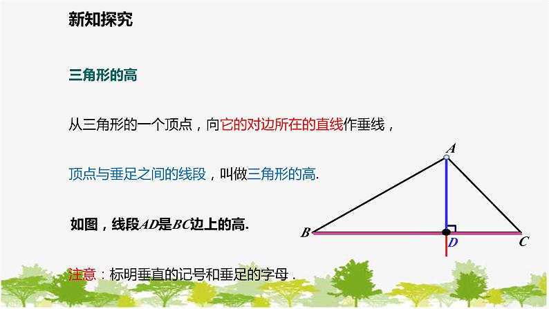 北师大版数学七年级下册 4.1.4  三角形的高 课件第5页