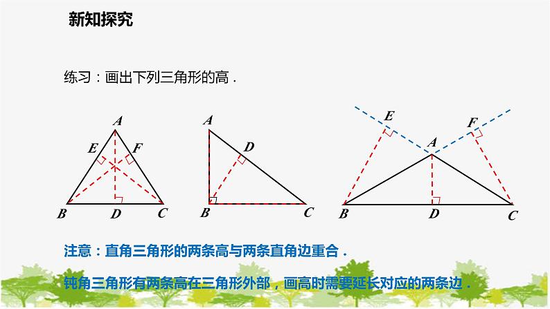 北师大版数学七年级下册 4.1.4  三角形的高 课件第6页