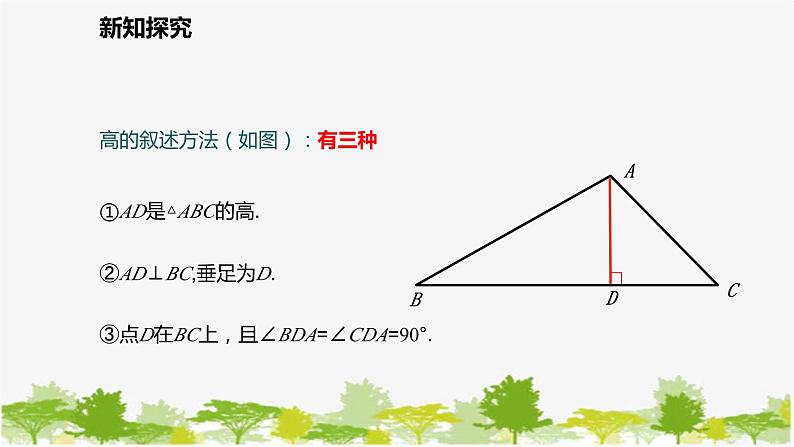 北师大版数学七年级下册 4.1.4  三角形的高 课件第7页