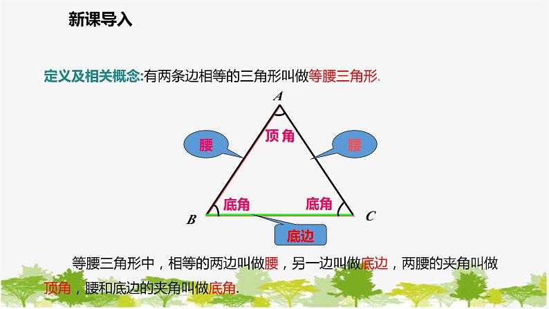 北师大版数学七年级下册 5.3.1 等腰三角形的性质 课件04