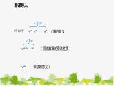 北师大版数学七年级下册 1.2.1 幂的乘方 课件