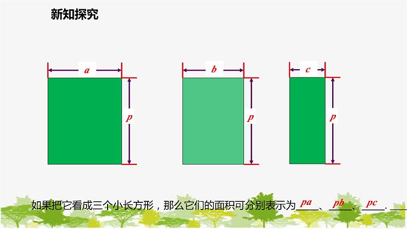 北师大版数学七年级下册 1.4.2 单项式与多项式相乘 课件第5页