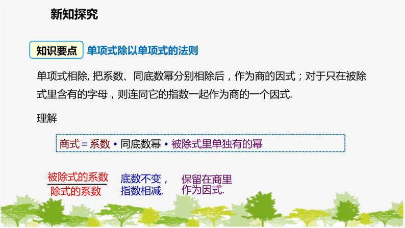 北师大版数学七年级下册 1.7.1 单项式除以单项式 课件05