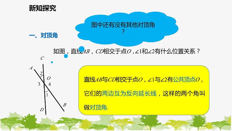 北师大版数学七年级下册 2.1.1 对顶角、补角与余角 课件06