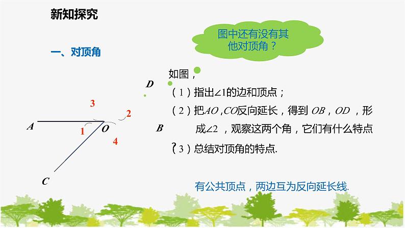 北师大版数学七年级下册 2.1.1 对顶角、补角与余角 课件07