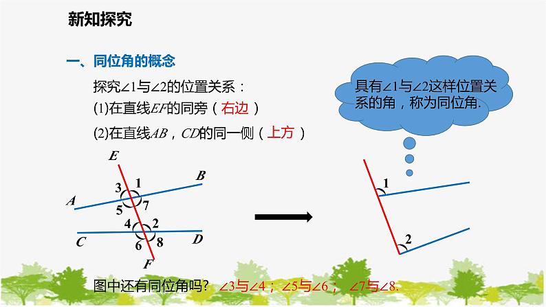 北师大版数学七年级下册 2.2.1 利用同位角判定两条直线平行 课件第7页