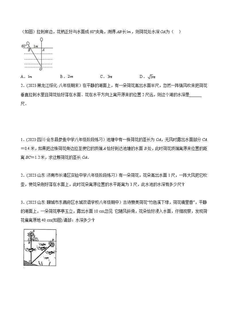 中考数学几何模型专项复习 模型25 勾股定理——出水芙蓉模型-（原卷版+解析）02