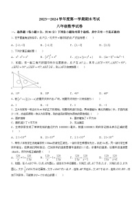 河南省商丘市夏邑县2023-2024学年八年级上学期期末数学试题