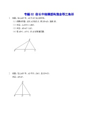 专题02 倍长中线模型构造全等三角形(提升训练)-2024年中考数学重难点专项突破（全国通用）