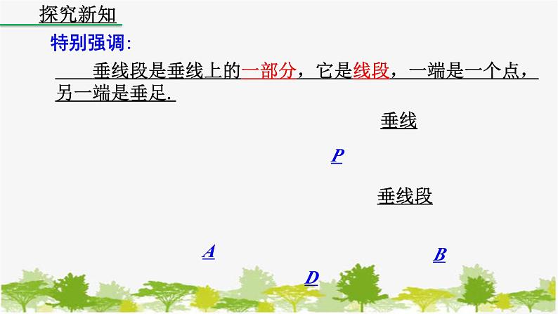 人教版数学七年级下册 5.1.2 垂线（第2课时）课件第6页