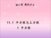 11.1.1+平方根课件2023-2024学年华东师大版八年级数学上册