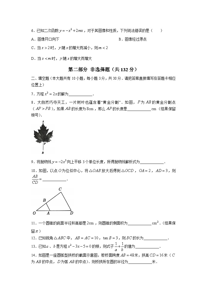 江苏省泰州市泰兴市2023届九年级上学期期末数学试卷(含答案)第2页