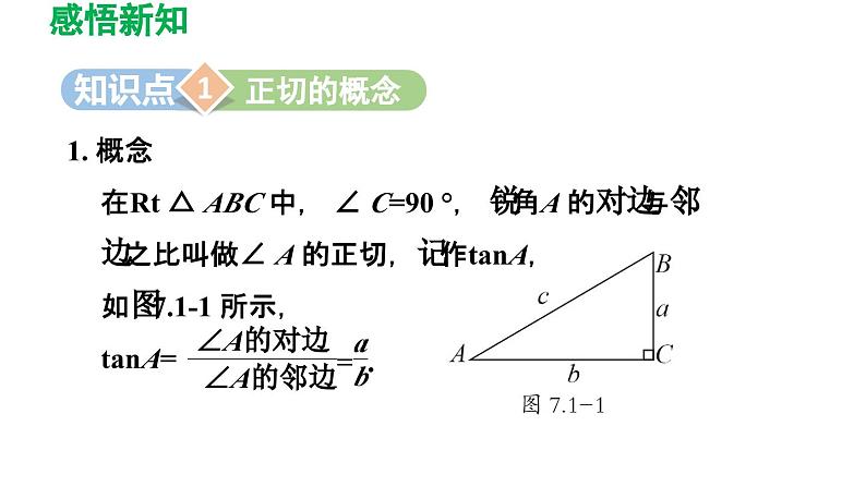 7.1 正切 苏科版数学九年级下册导学课件03