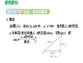7.2 正弦、余弦 蘇科版數(shù)學九年級下冊導學課件