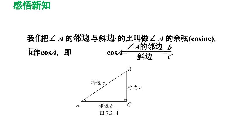 7.2 正弦、余弦 苏科版数学九年级下册导学课件04