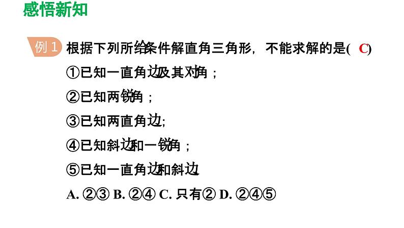 7.5 解直角三角形 苏科版数学九年级下册导学课件05