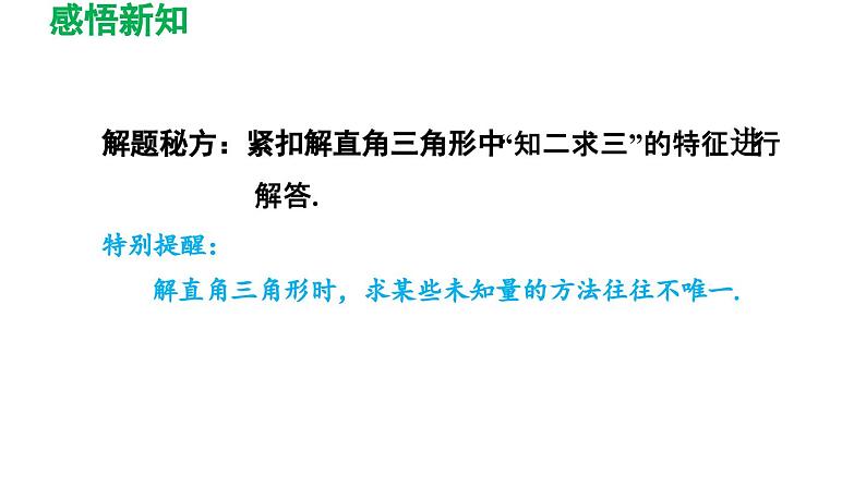 7.5 解直角三角形 苏科版数学九年级下册导学课件06