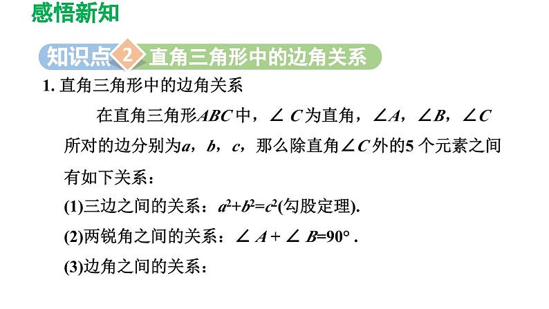 7.5 解直角三角形 苏科版数学九年级下册导学课件08