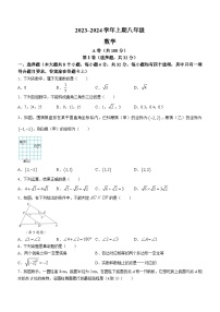 四川省成都市天府新区2023-2024学年八年级上学期期末数学试题（含答案）