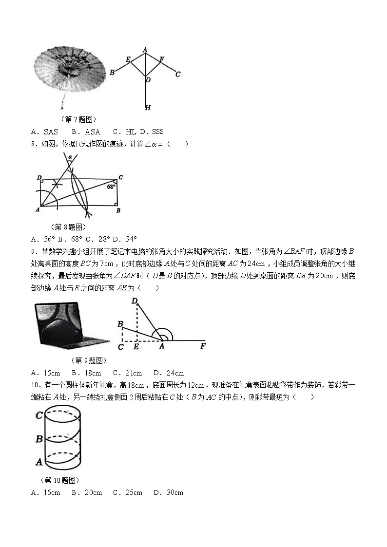 河南省驻马店市泌阳县2023-2024学年八年级上学期期末数学试题(含答案)第2页