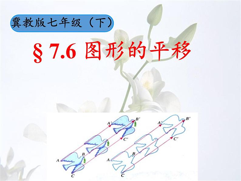 冀教版数学七年级下册 7.6 图形的平移课件04