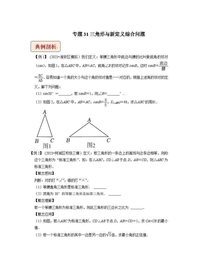 2024年中考数学压轴题之学霸秘笈大揭秘专题31三角形与新定义综合问题（原卷版+解析）第1页