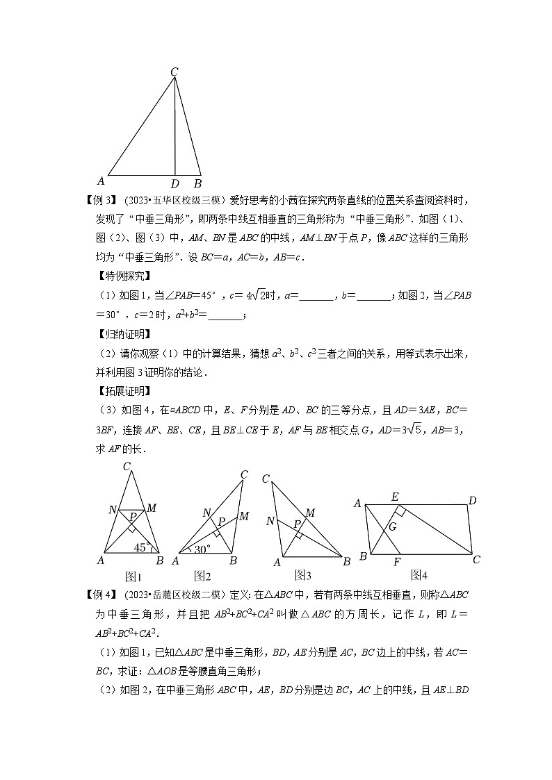 2024年中考数学压轴题之学霸秘笈大揭秘专题31三角形与新定义综合问题（原卷版+解析）第2页