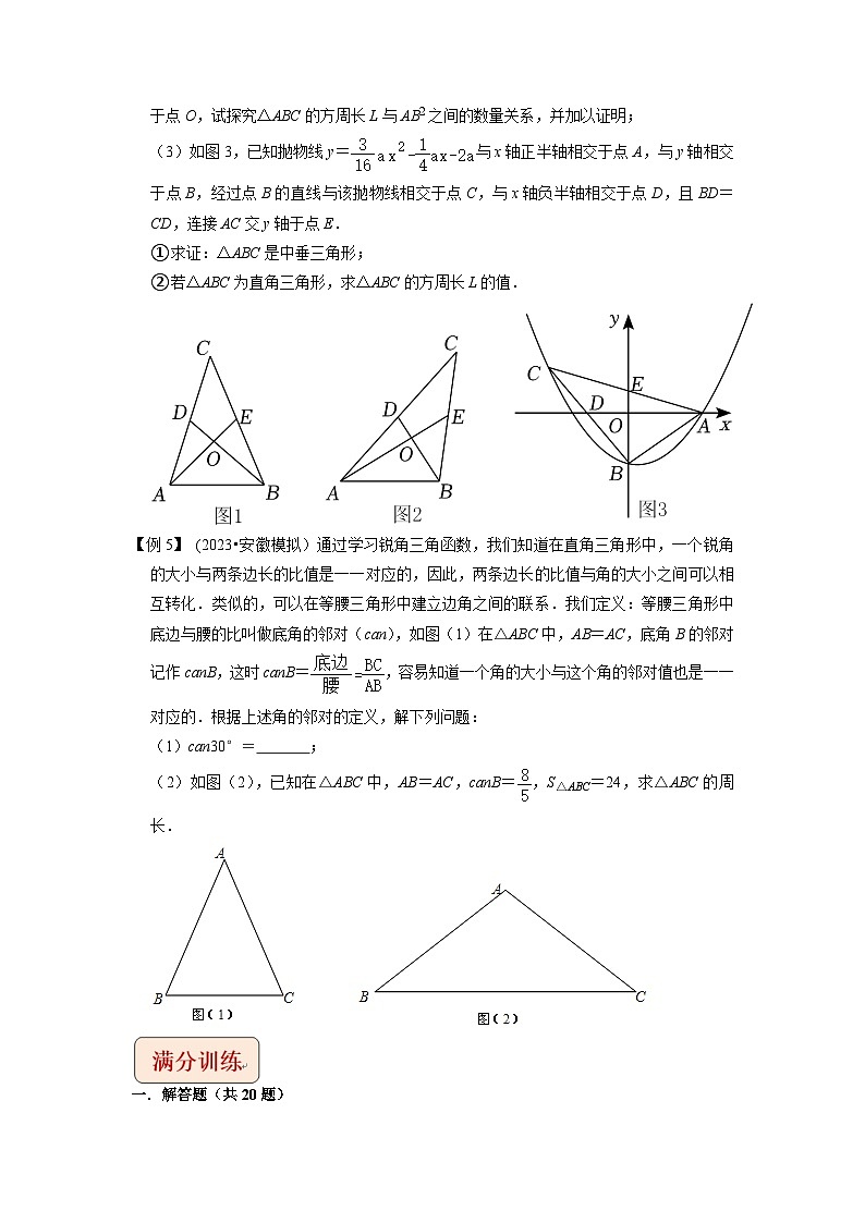 2024年中考数学压轴题之学霸秘笈大揭秘专题31三角形与新定义综合问题（原卷版+解析）第3页