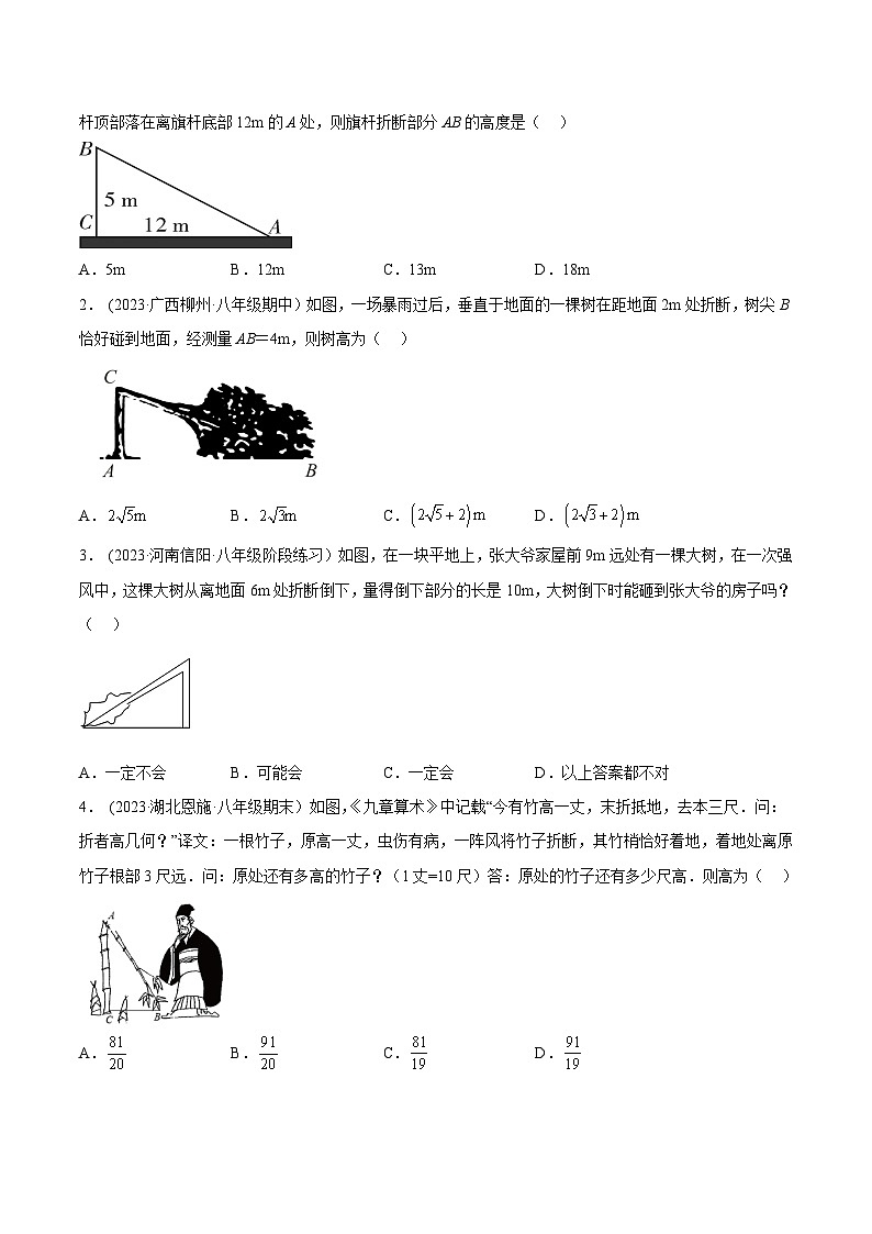 2024年中考数学几何模型专项复习讲与练 模型24 勾股定理——风吹树折模型-原卷版+解析02