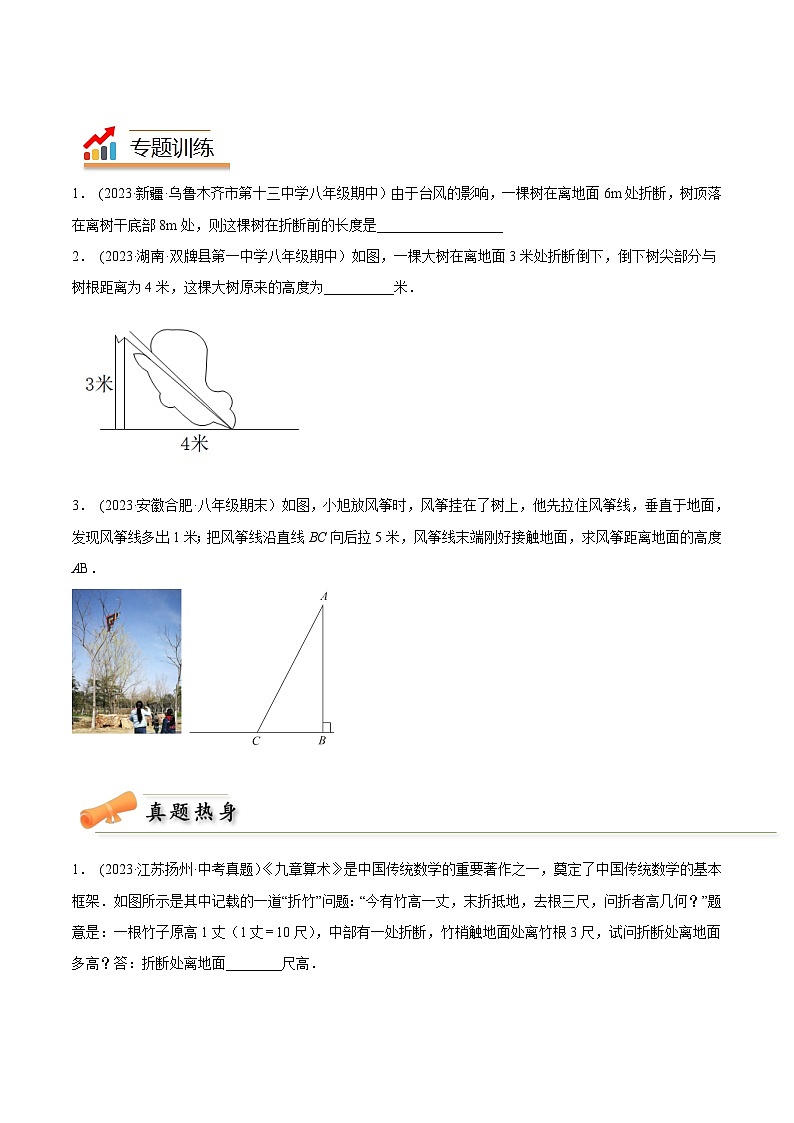 2024年中考数学几何模型专项复习讲与练 模型24 勾股定理——风吹树折模型-原卷版+解析03