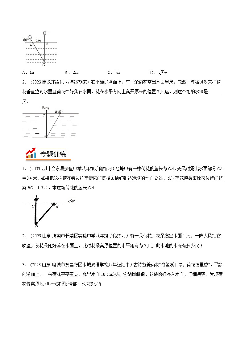 2024年中考数学几何模型专项复习讲与练 模型25 勾股定理——出水芙蓉模型-原卷版+解析第2页