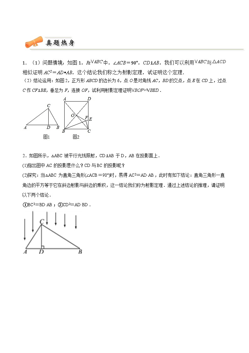 2024年中考数学几何模型专项复习讲与练 模型41 相似形——射影定理模型-原卷版+解析03