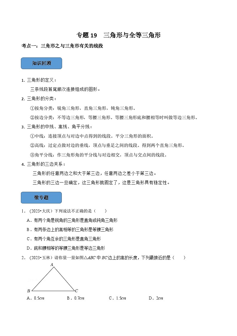 2024年中考数学必考考点总结题型专训专题19三角形与全等三角形篇（原卷版+解析）第1页