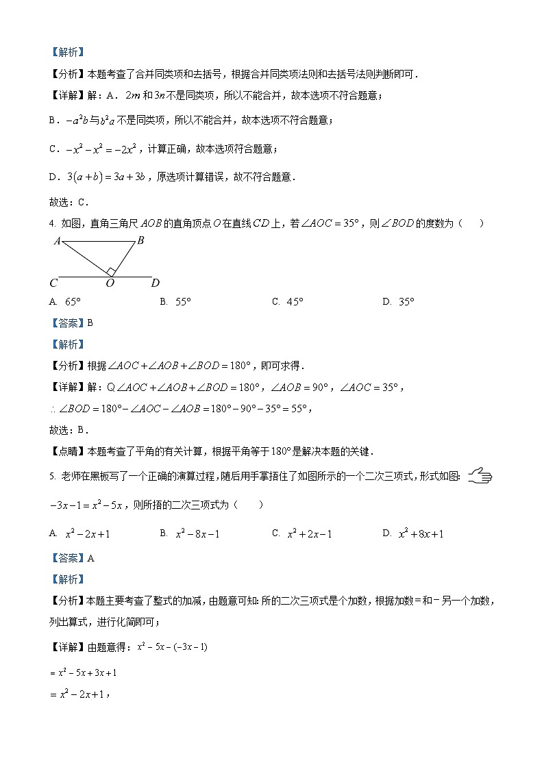 山东省德州市德城区2023-2024学年七年级上学期期末数学试题（原卷版+解析版）02