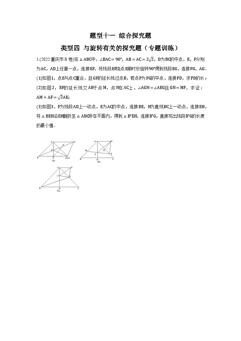 题型十一 综合探究题 类型四 与旋转有关的探究题（专题训练）-备战2024年中考数学二轮复习高分突破（全国通用）01
