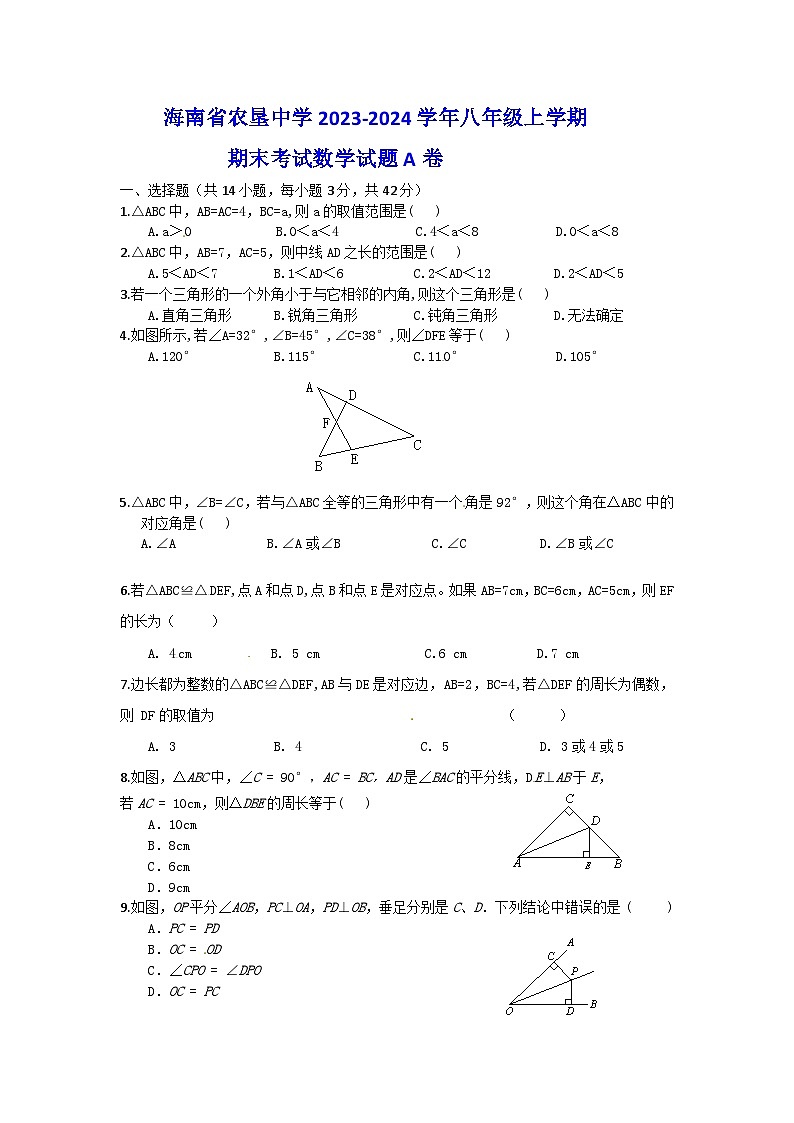 海南省琼海市嘉积中学2023—-2024学年八年级上学期期末考试数学试题A卷01