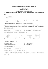 云南省文山壮族苗族自治州文山市第二学区2023-2024学年七年级上学期期末数学试题