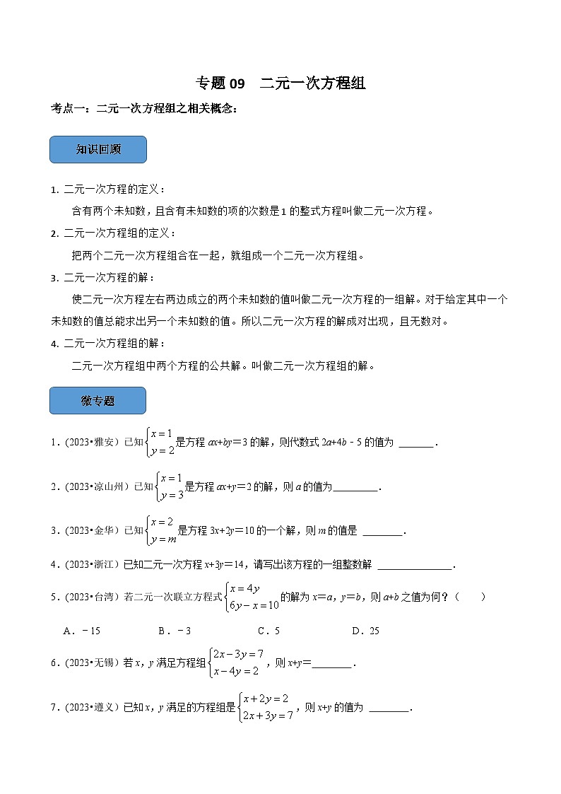 2024年中考数学必考考点总结+题型专训（全国通用）专题09 —二元一次方程组篇（原卷版+解析）第1页