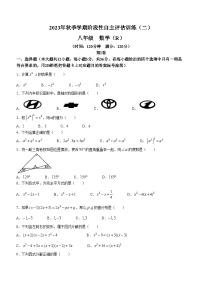 广西壮族自治区钦州市浦北县第三中学2023-2024学年八年级上学期12月月考数学试题